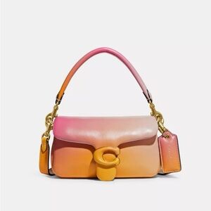 Coach pillow tabby 18 ombre